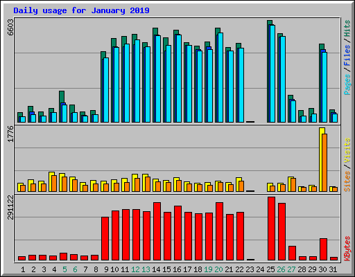 Daily usage for January 2019