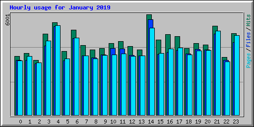 Hourly usage for January 2019