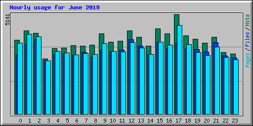 Hourly usage for June 2019