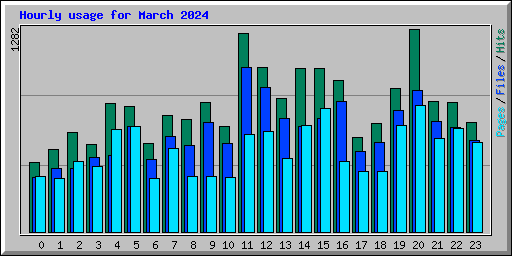 Hourly usage for March 2024